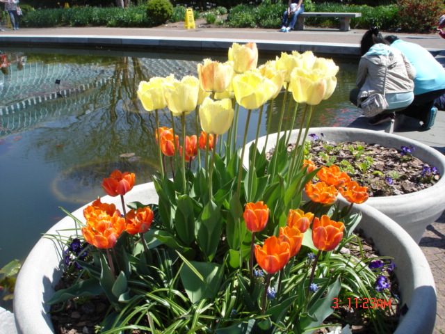 DSC05305.JPG