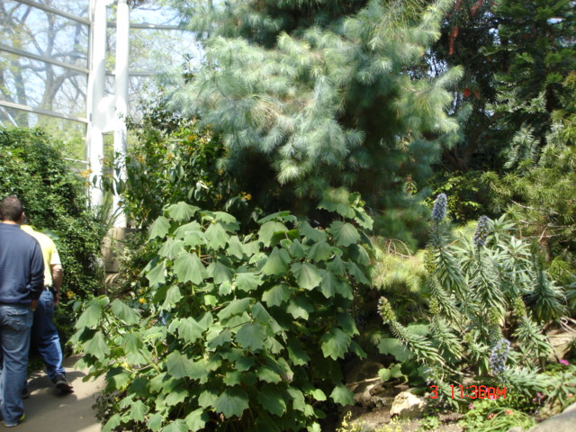 DSC05324.JPG