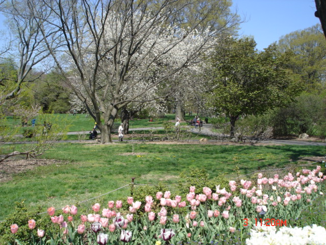 DSC05302.JPG