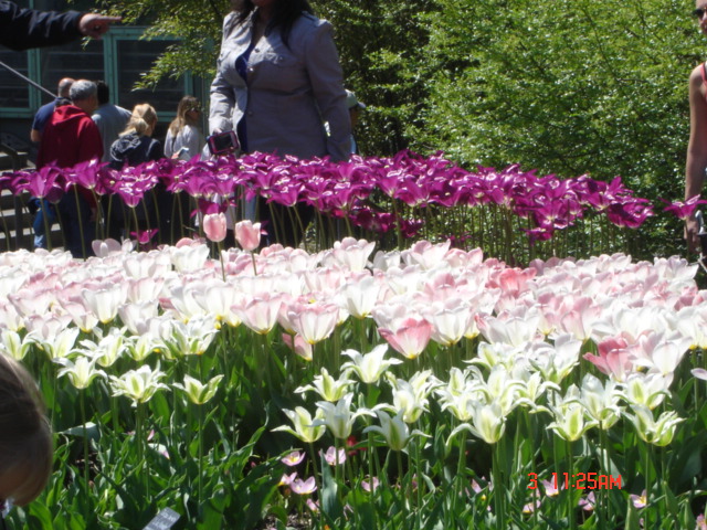 DSC05311.JPG