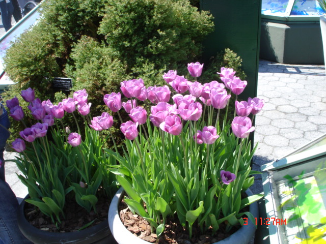 DSC05313.JPG