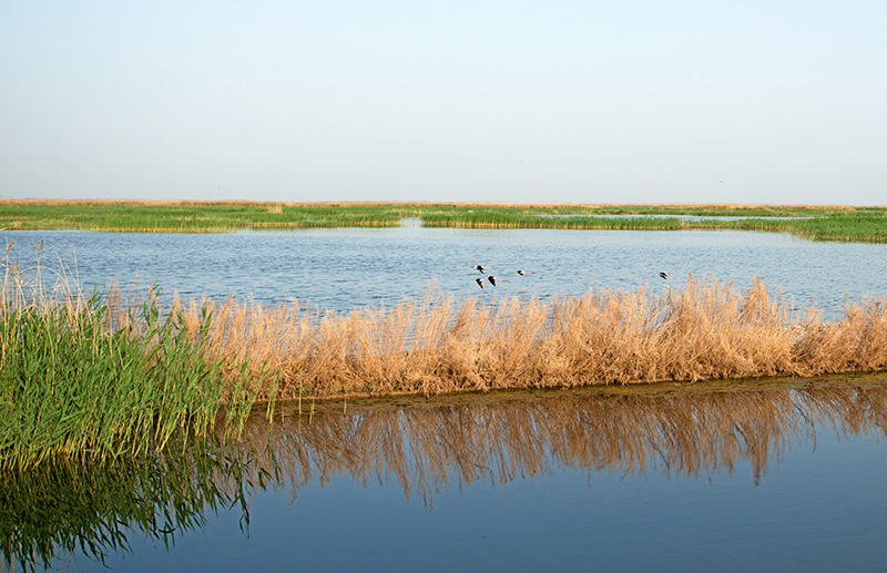 DSC_7181-.jpg