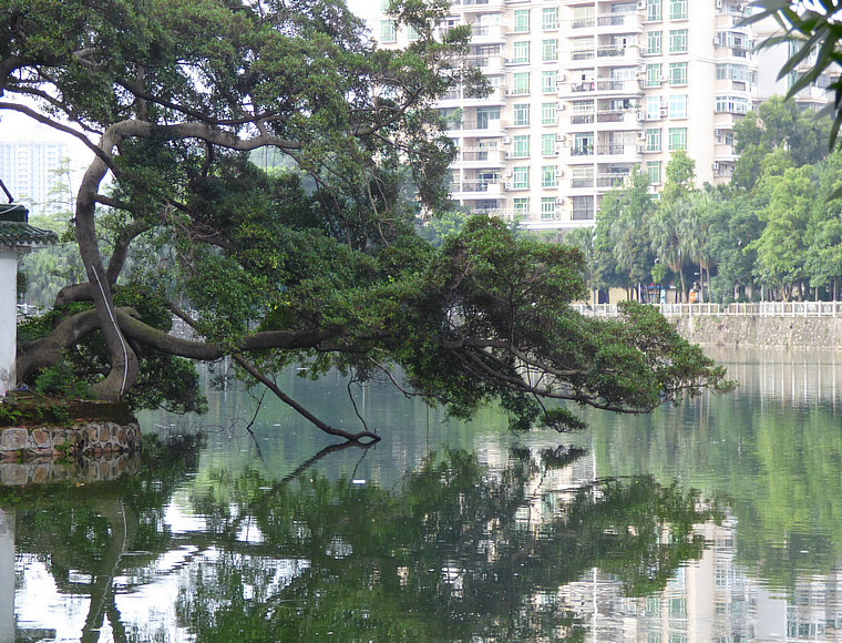 P1030668.JPG