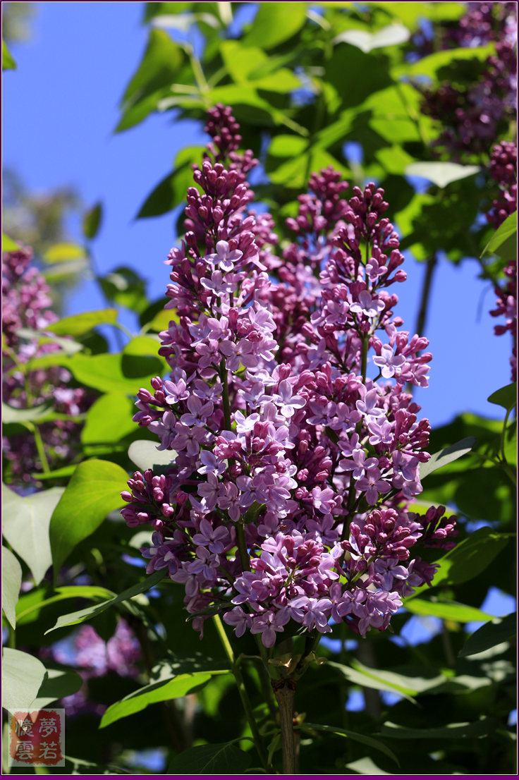 2014055 024_.jpg