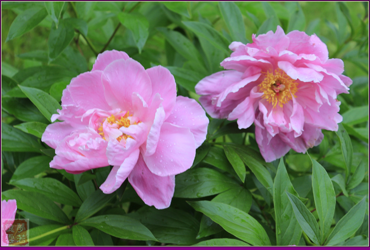 2014063 055_.jpg