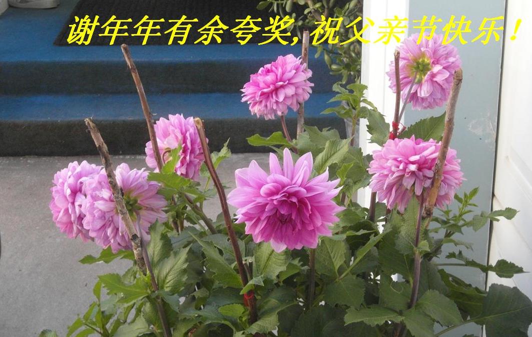 л佱ף׽ڿ֣.JPG