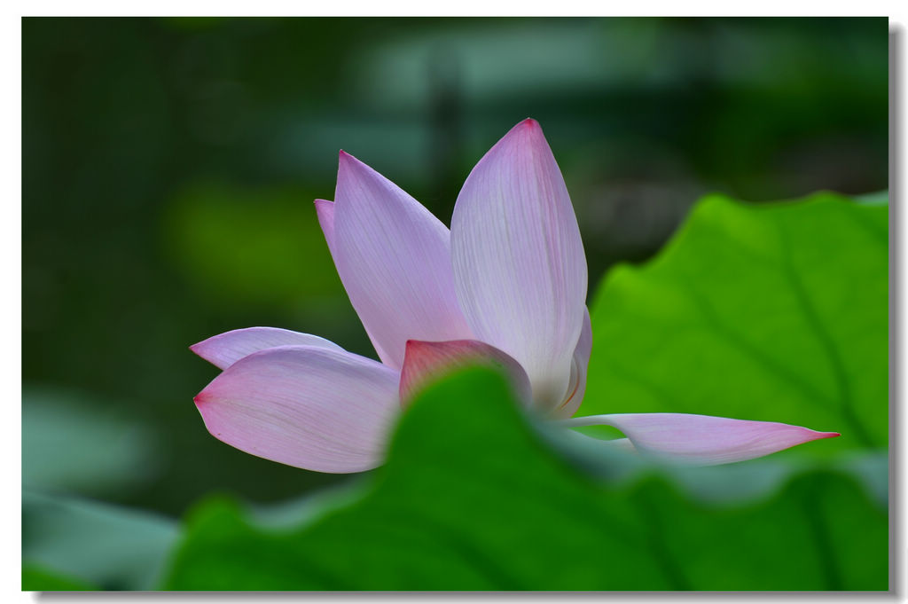 DSC_5011.jpg