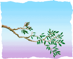 qpct004.GIF