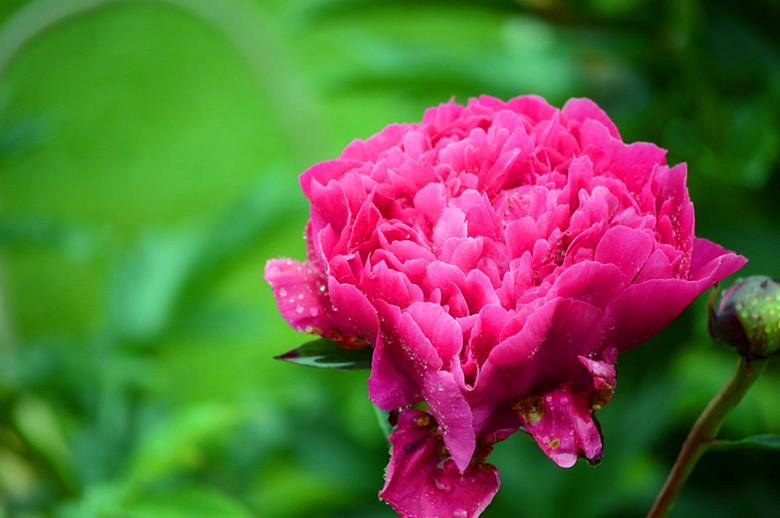 228_47532_69ee84e9bf8dd8c_.jpg