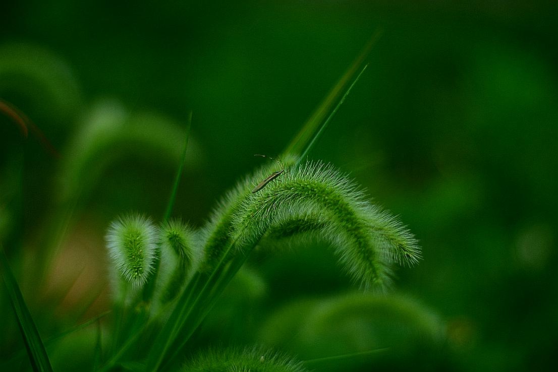 204_35655_5970a6c42eb45d5.jpg