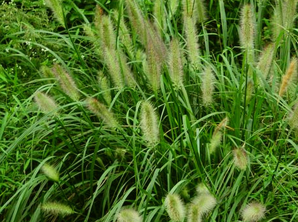 204_35655_d07c3e8568e6701.jpg