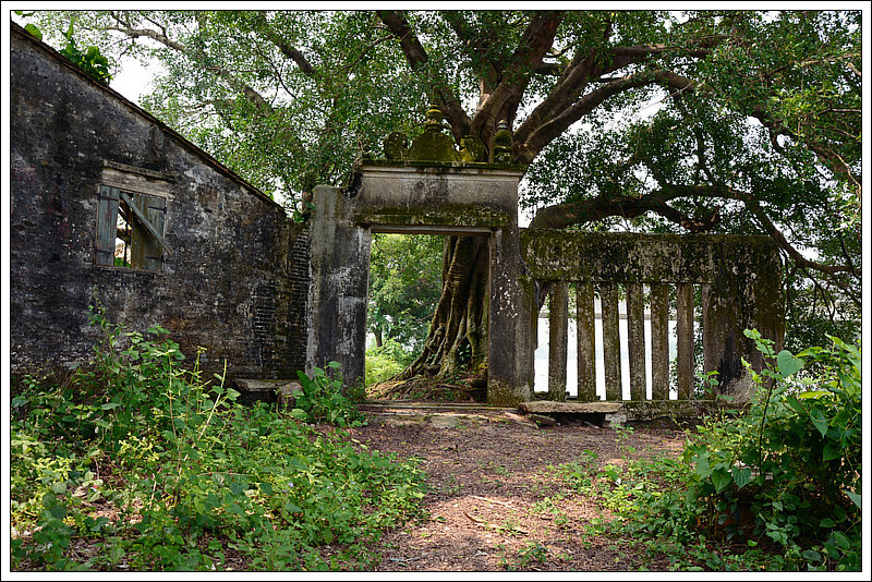 DSC_7855_1.JPG