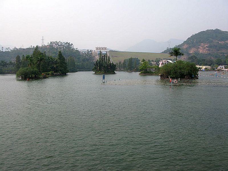 IMG_4564.jpg