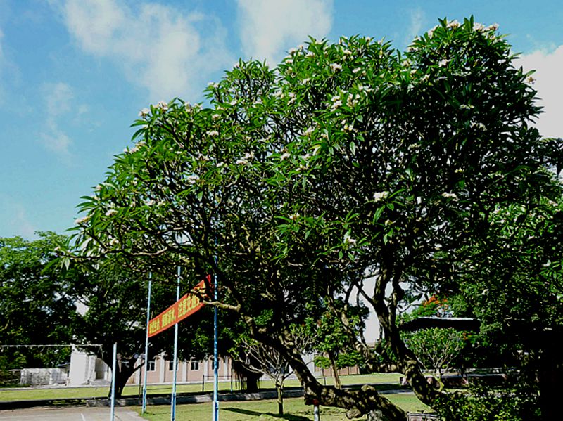 147.jpg