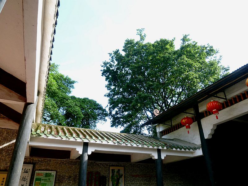 106.jpg
