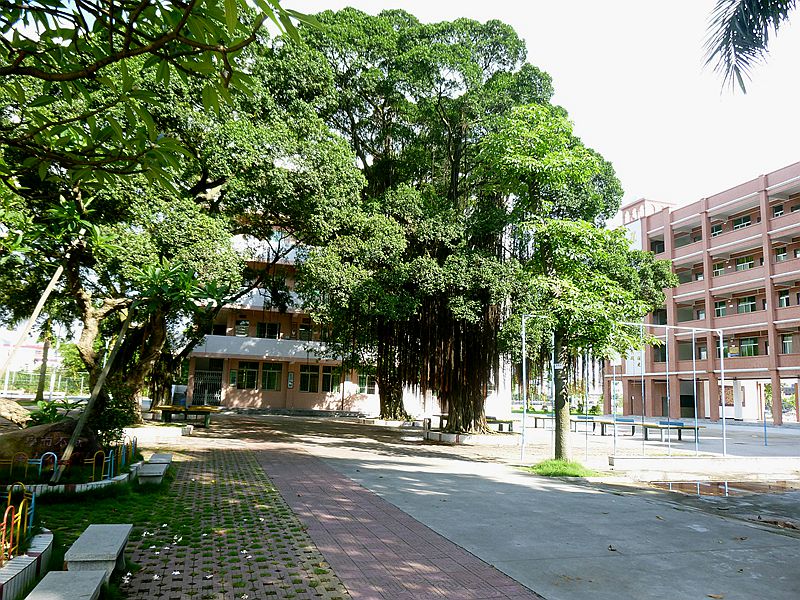 P1120719.JPG