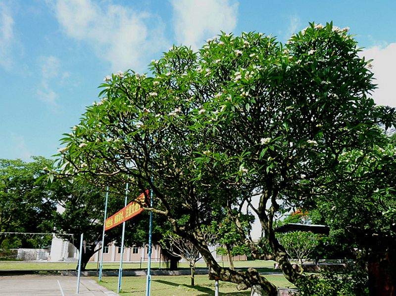 P1120718.JPG