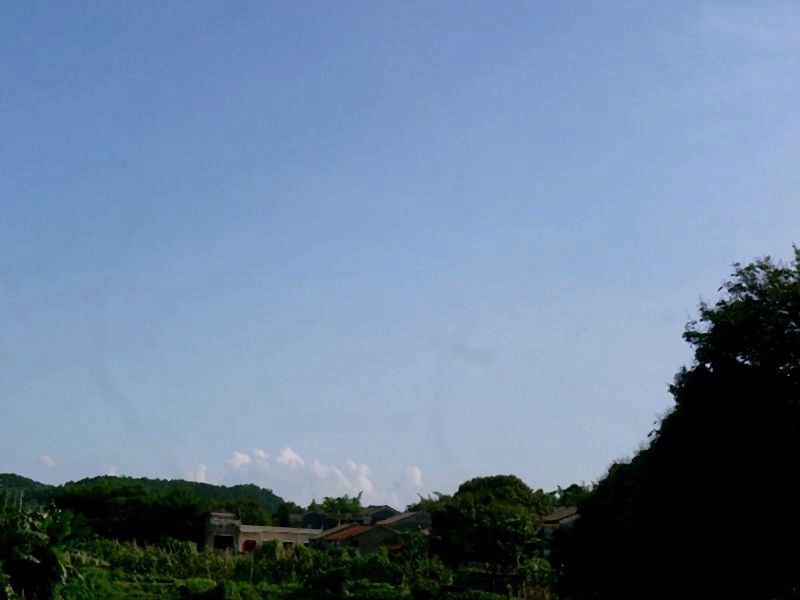 95.jpg