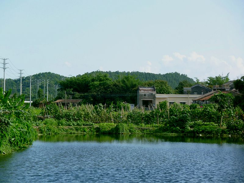 94.jpg