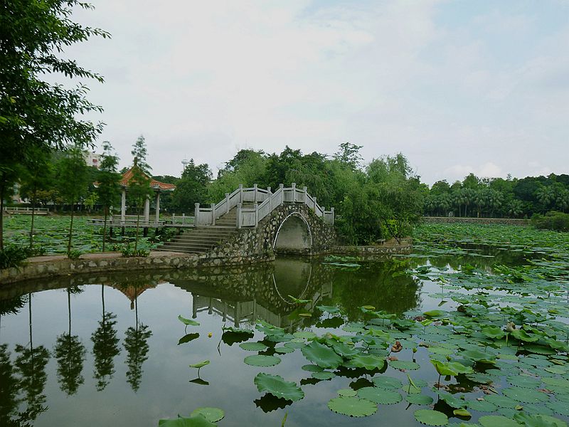 P1130141.JPG