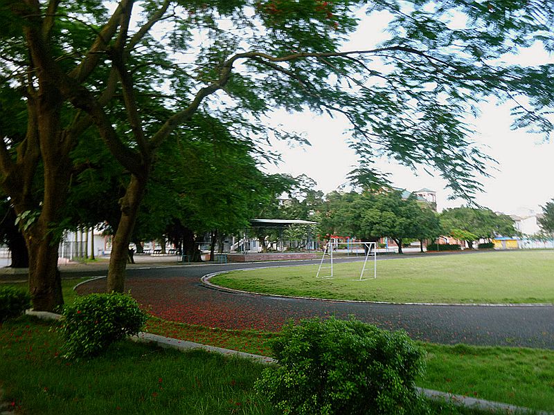 87.jpg