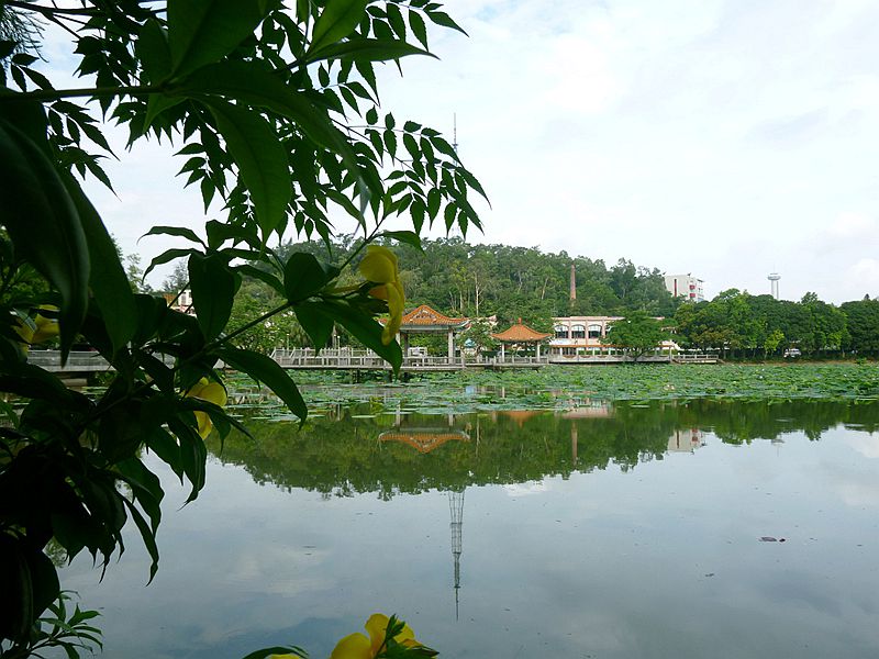 P1130147.JPG