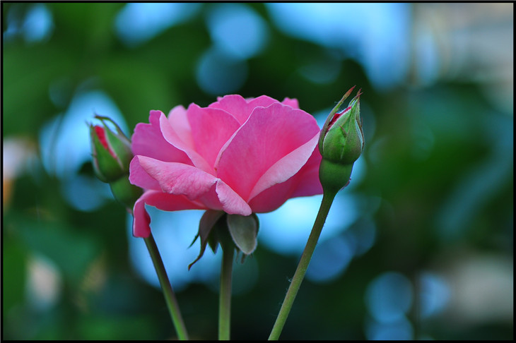 DSC_0913.jpg