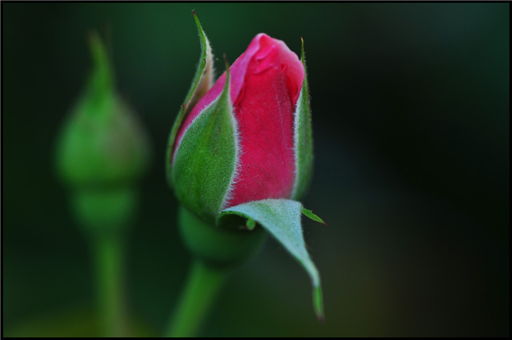 DSC_0881.jpg