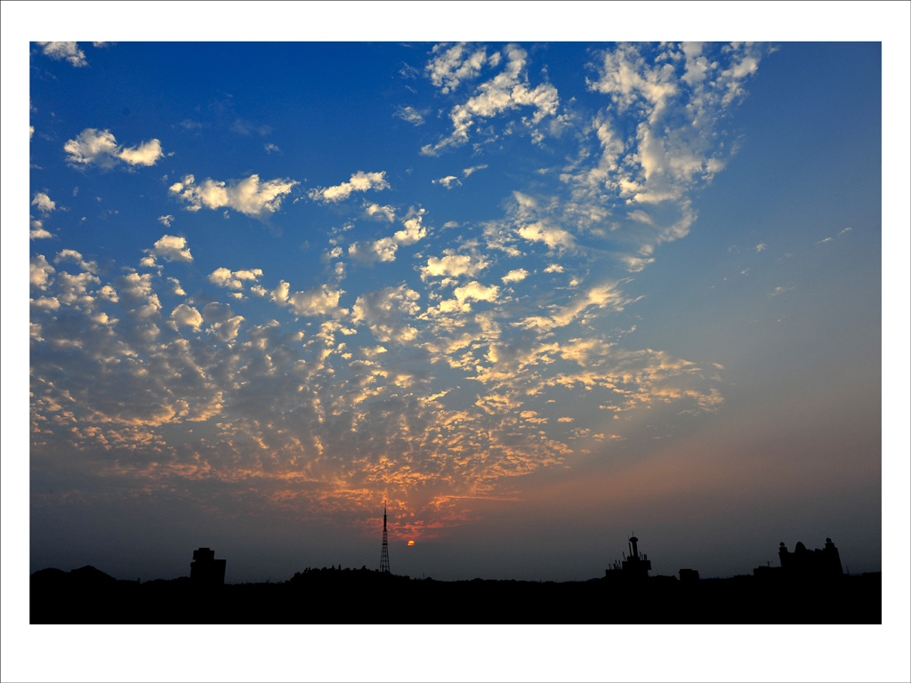 DSC_6409_conew1.jpg
