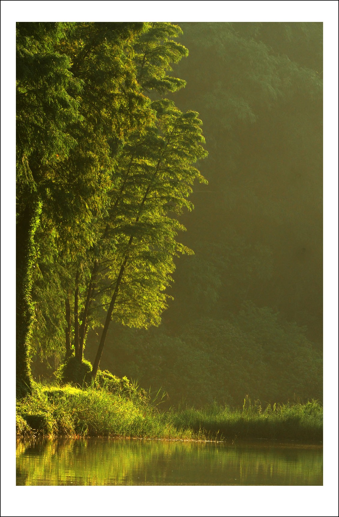 DSC_4180_conew1.jpg
