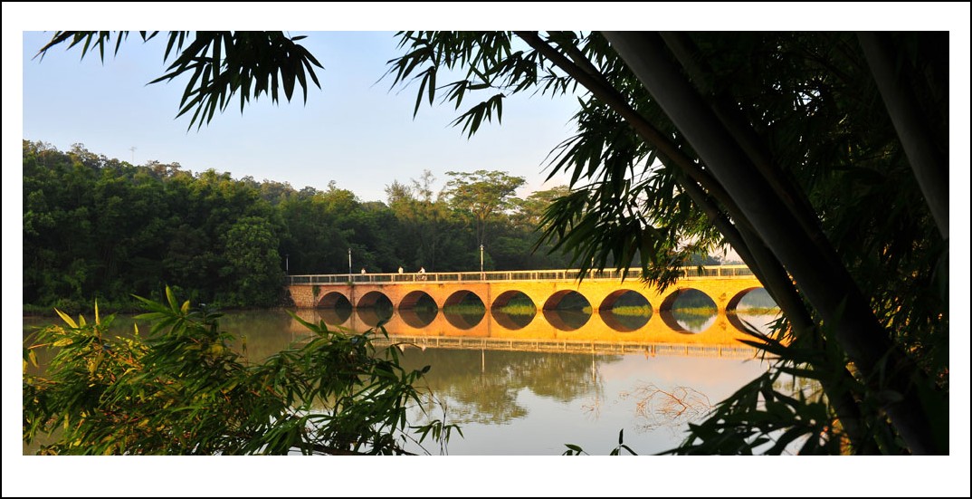 DSC_7232_conew1.jpg