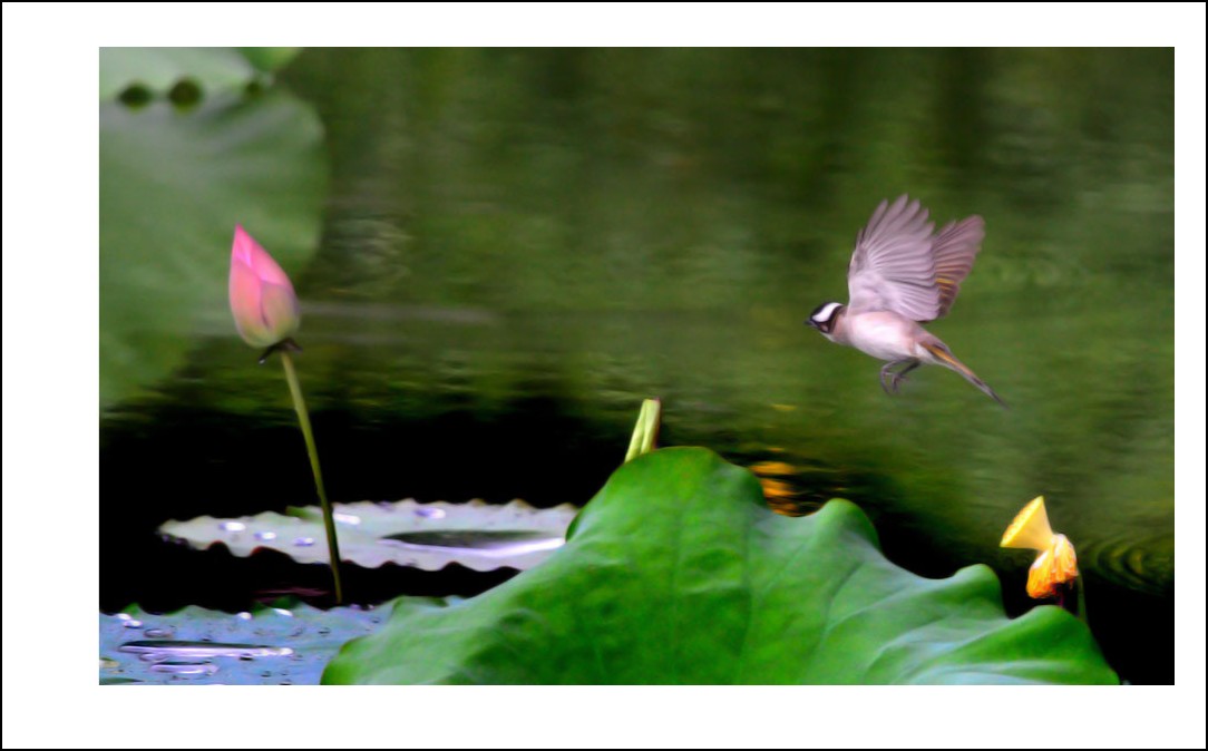 DSC_4276_conew1.jpg