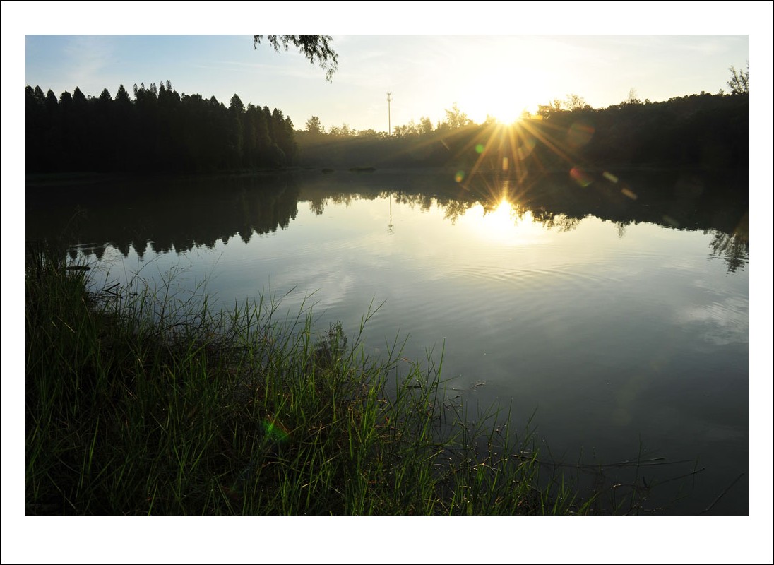 DSC_7223_conew1.jpg