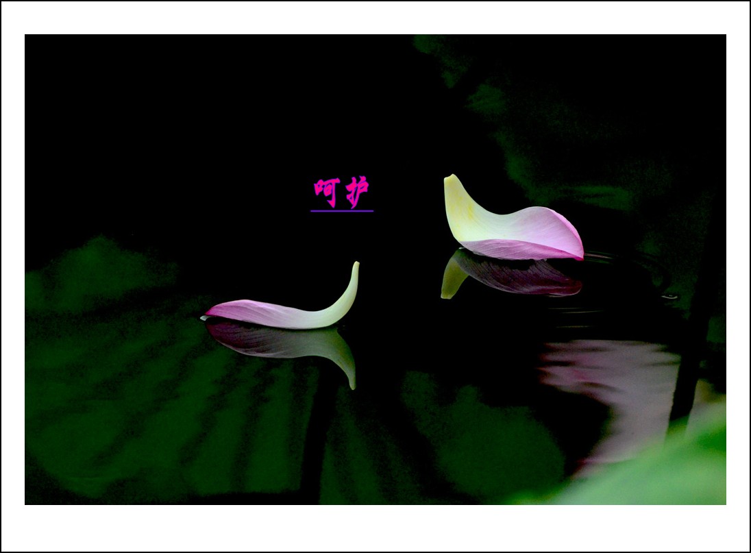 DSC_4049_conew1.jpg