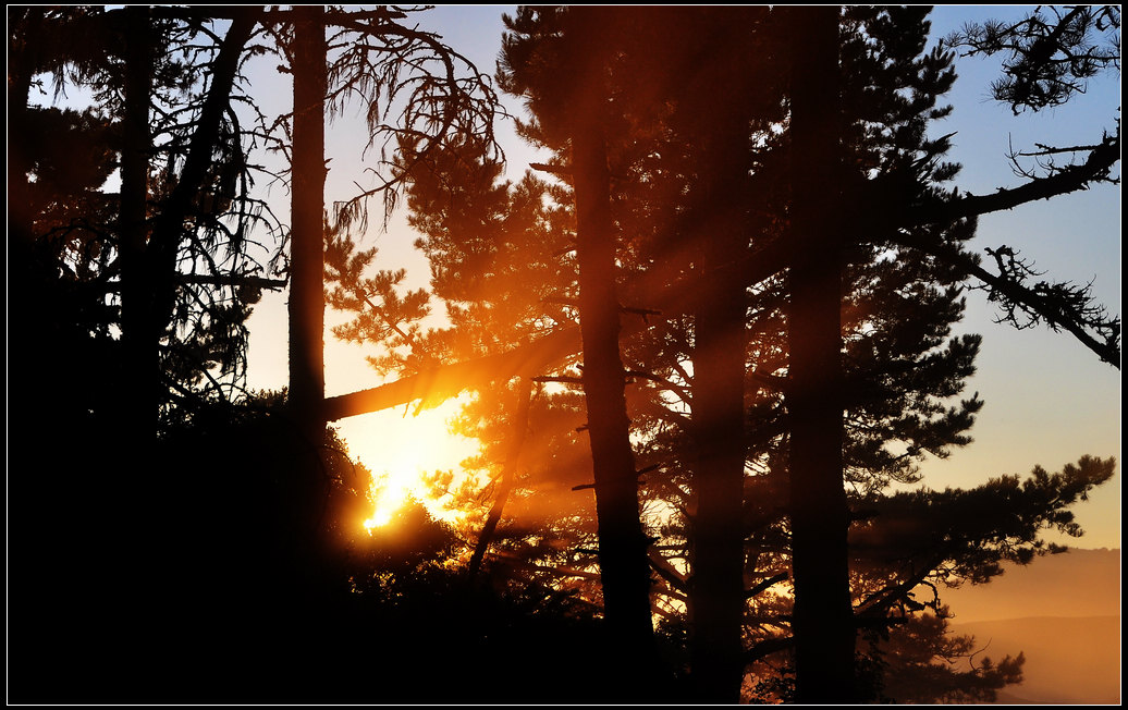 DSC_1202a.jpg