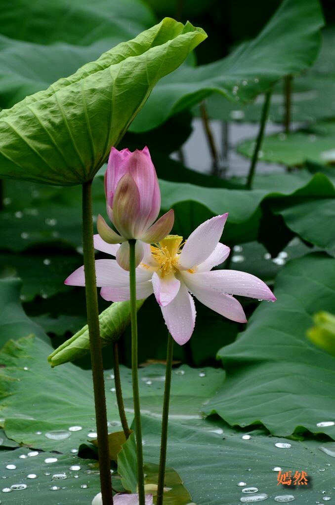 QQͼƬ20140610180606.jpg
