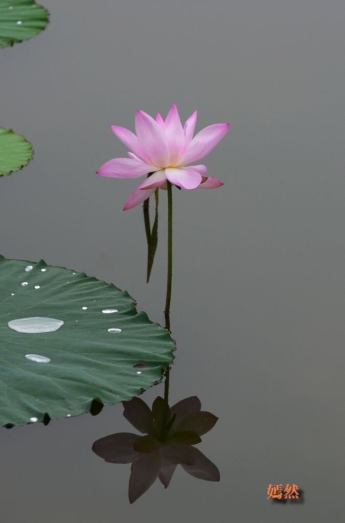 QQͼƬ20140608135603.jpg