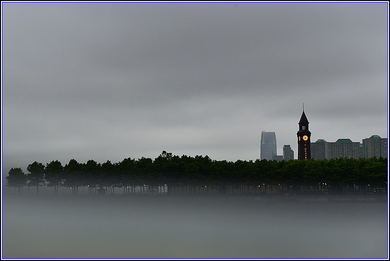 DSC_5954_.jpg