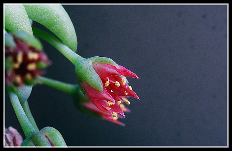DSC05416_.jpg