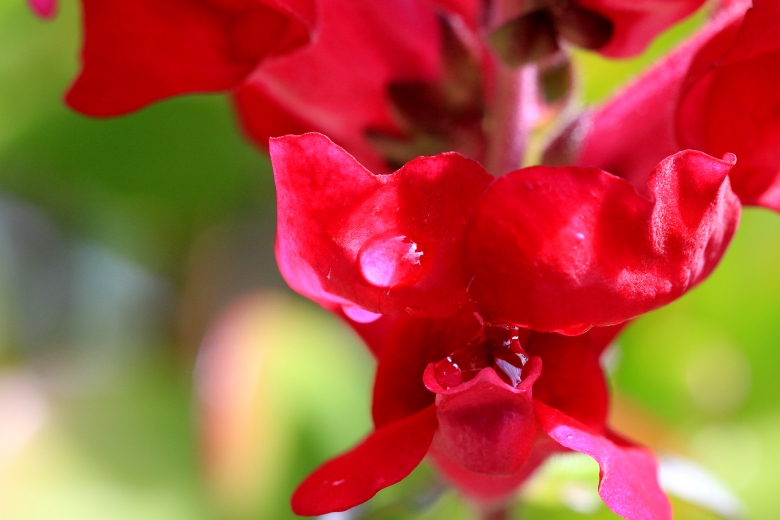IMG_3266_conew1.jpg