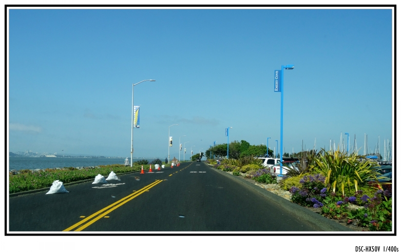 DSC05130_conew1.jpg