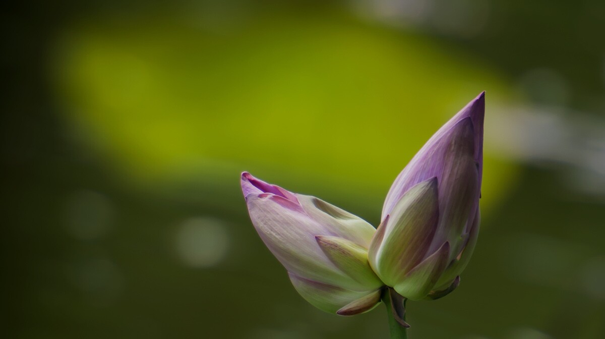 QQͼƬ20140604134625.jpg