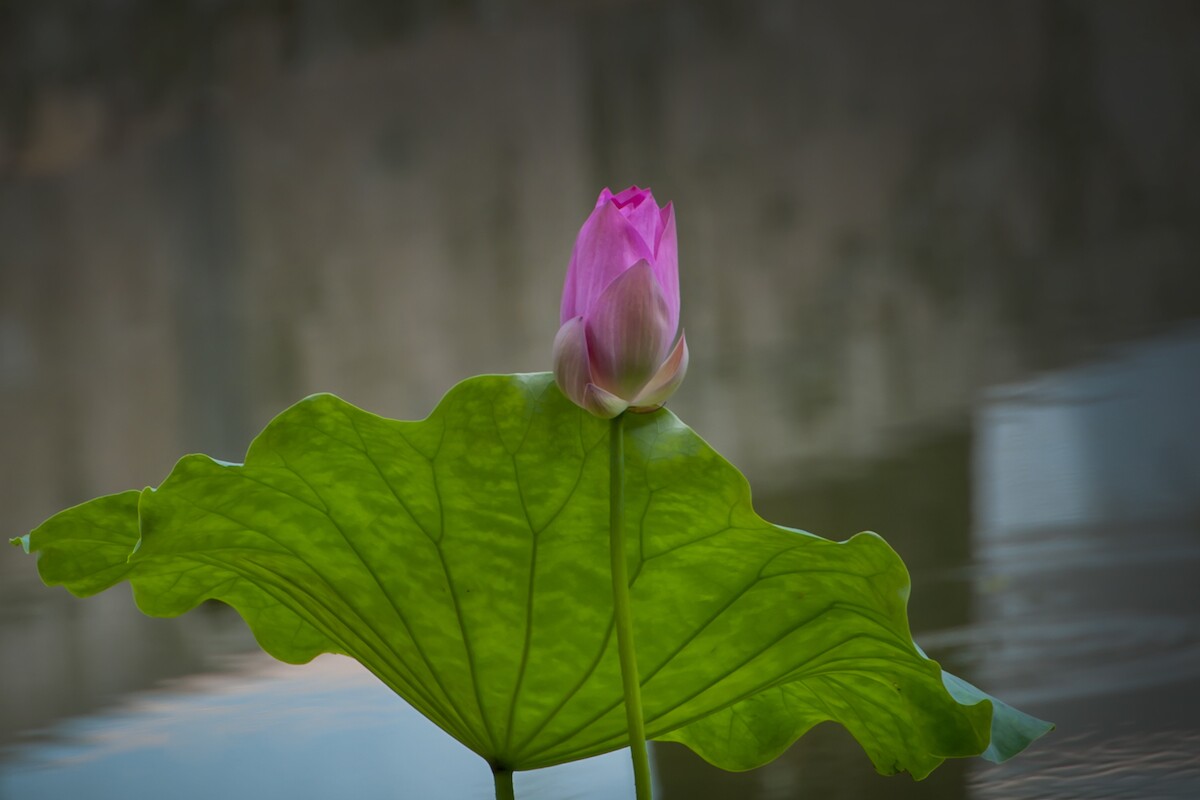 QQͼƬ20140616081708.jpg