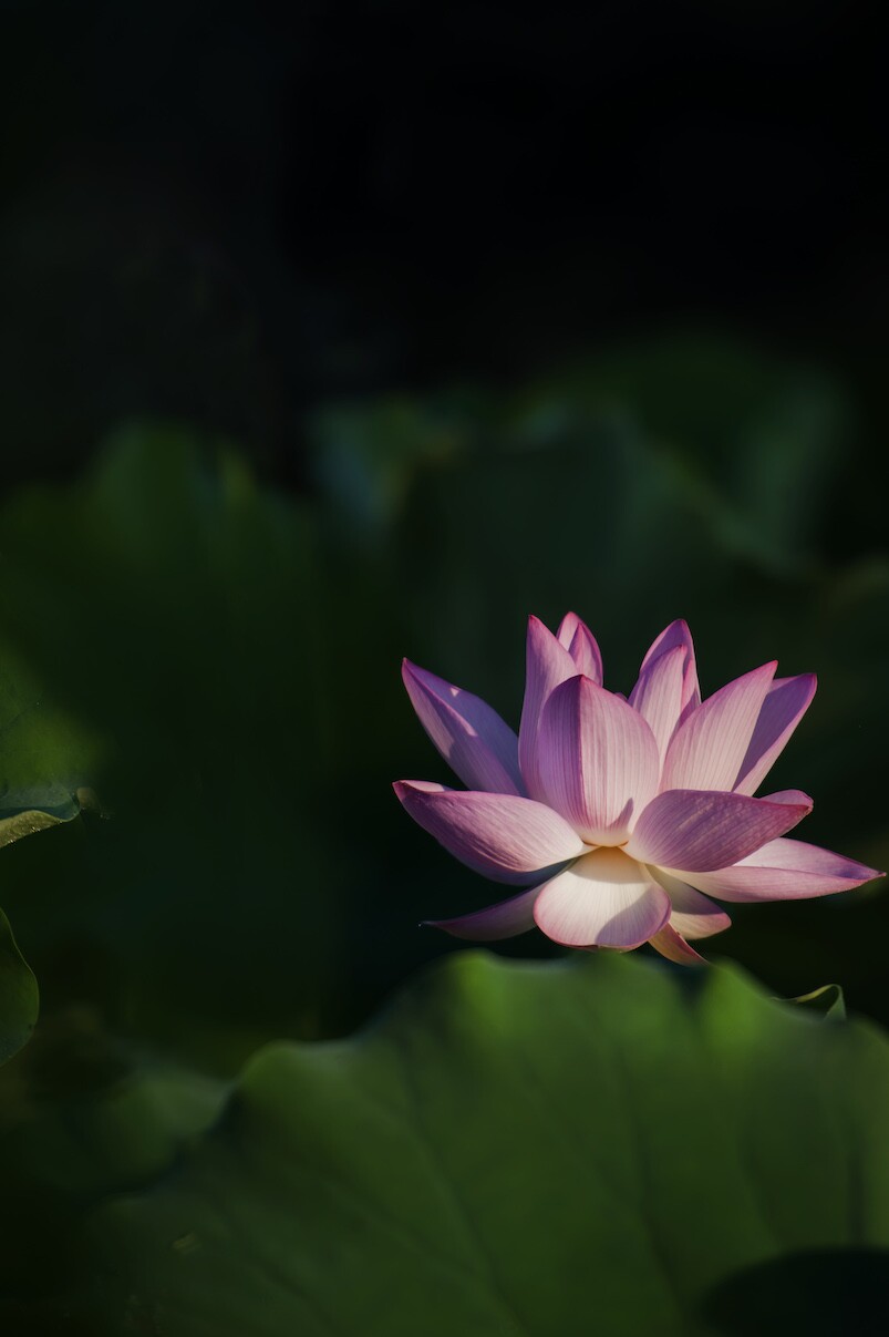 QQͼƬ20140530141917.jpg