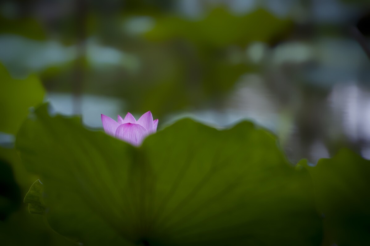 QQͼƬ20140604071538.jpg