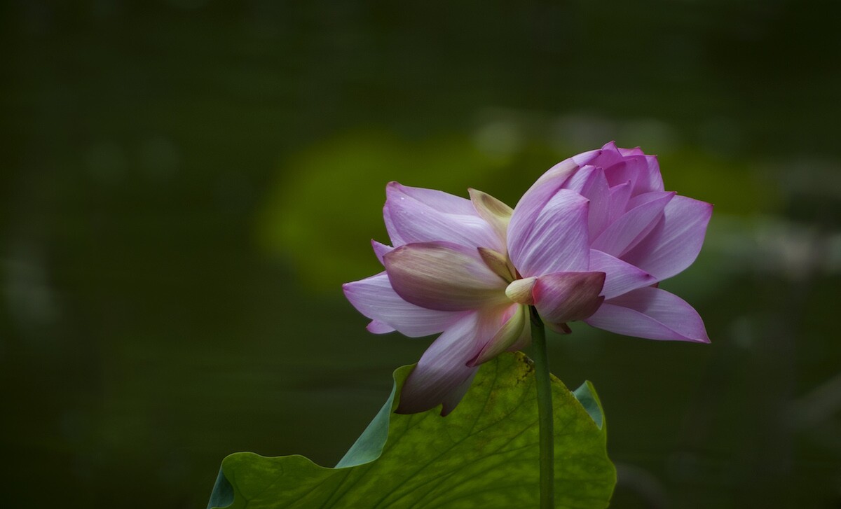 QQͼƬ20140604142845.jpg
