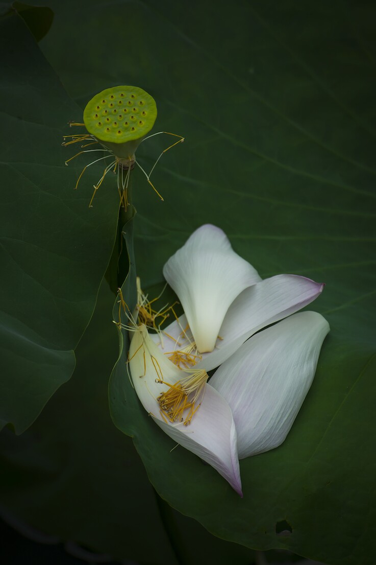 QQͼƬ20140615102908.jpg