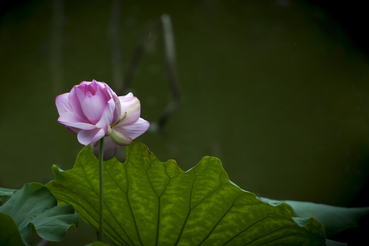 QQͼƬ20140604134651.jpg