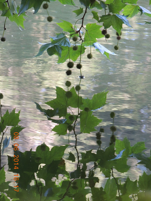 live # 3 1853_ת_.jpg