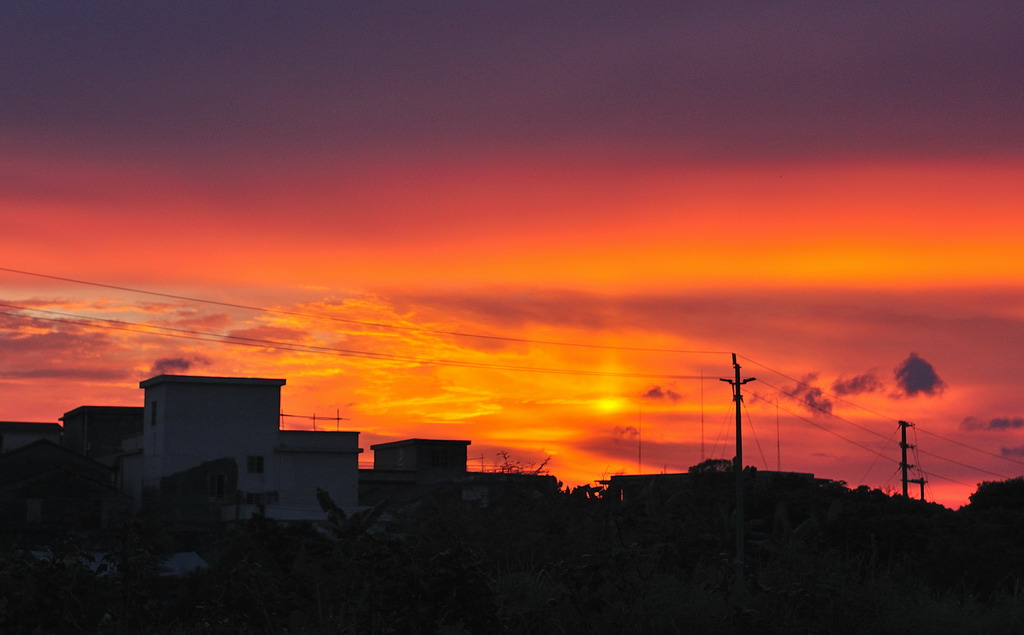 DSC_9102a.jpg